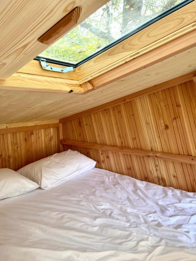 Camping Des Gayeulles 雷恩 外观 照片